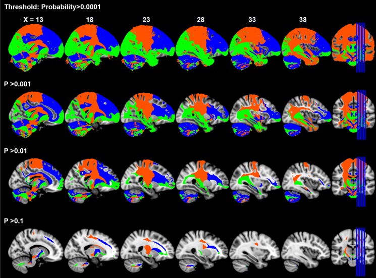 Figure 4—figure supplement 1.