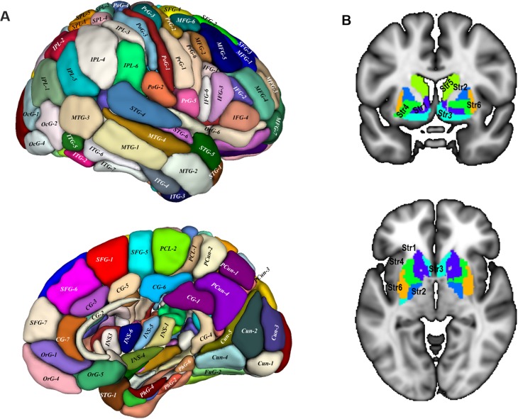 Figure 5—figure supplement 3.