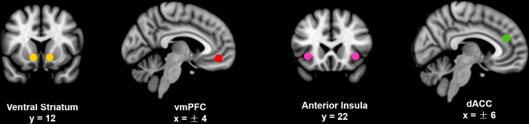 Figure 1—figure supplement 2.