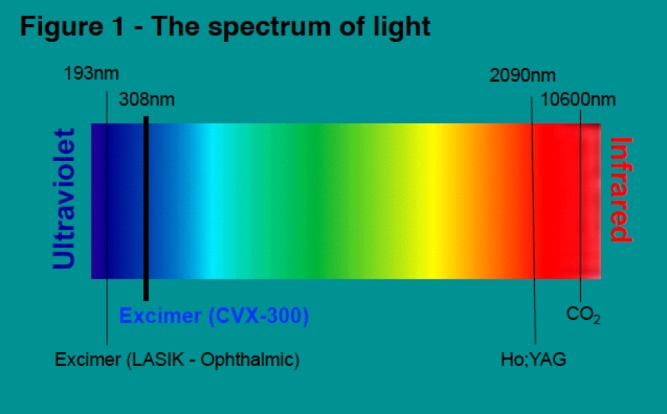 Figure 1: