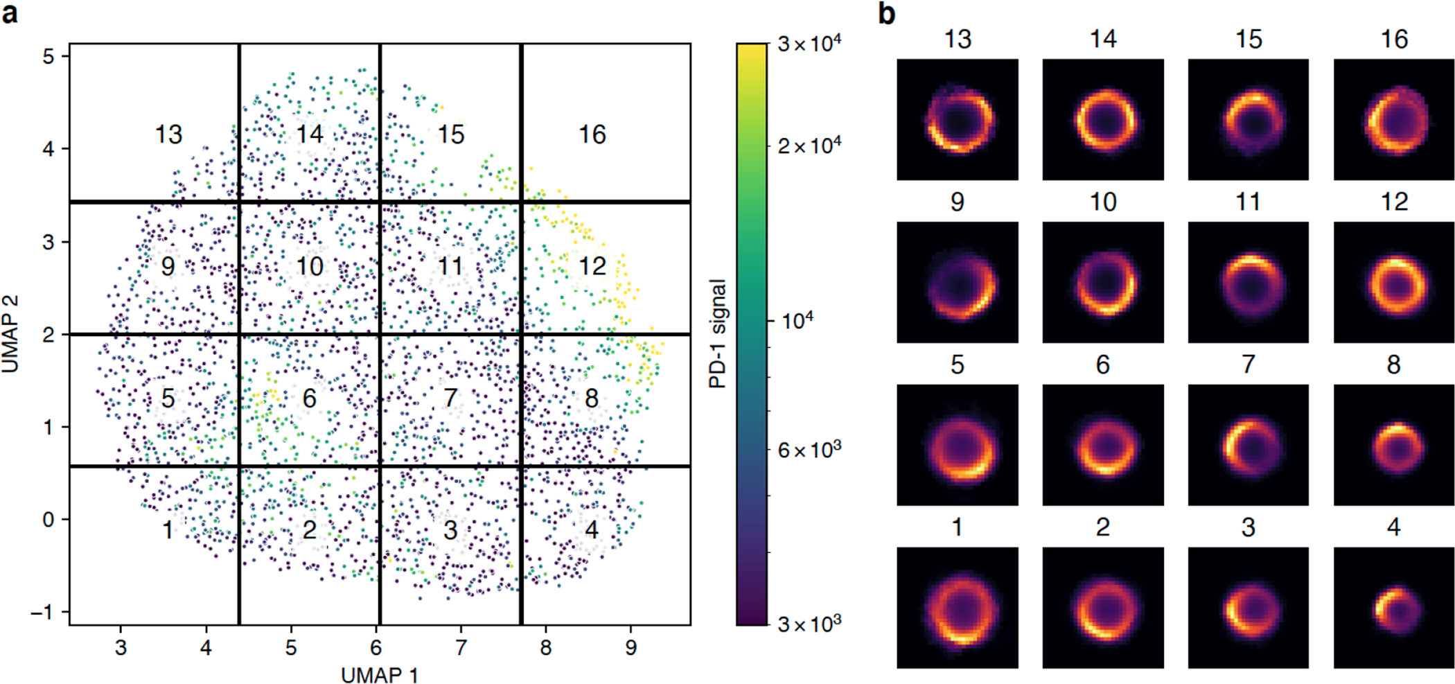 Figure 3: