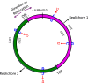 Fig. S2.