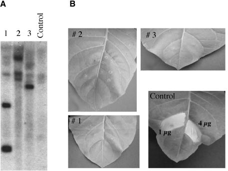 Figure 4.