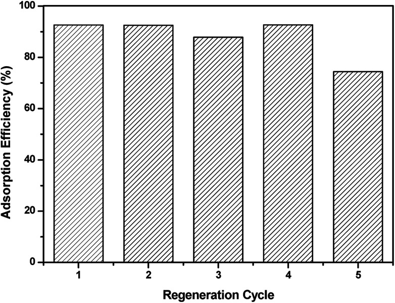 Fig. 10