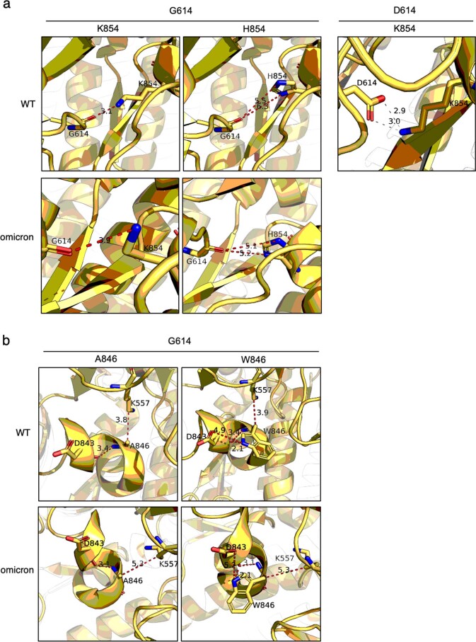 Extended Data Fig. 4