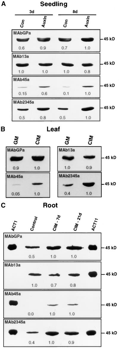 Figure 4.