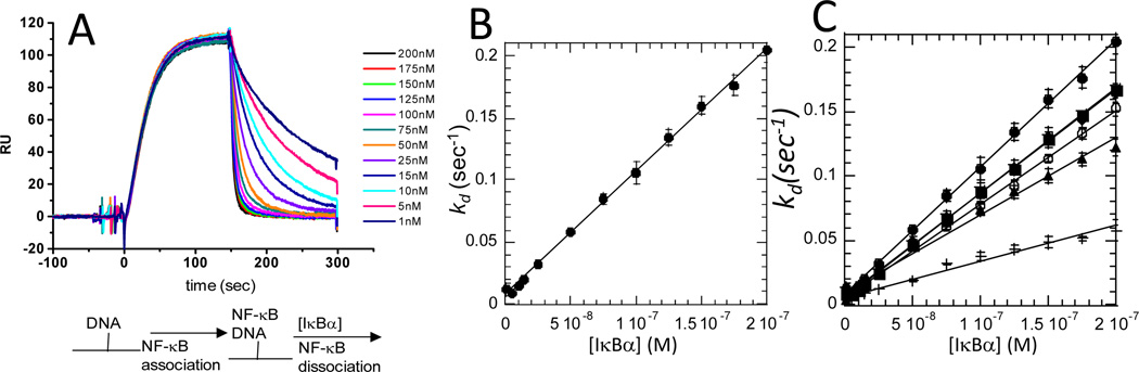 Figure 8