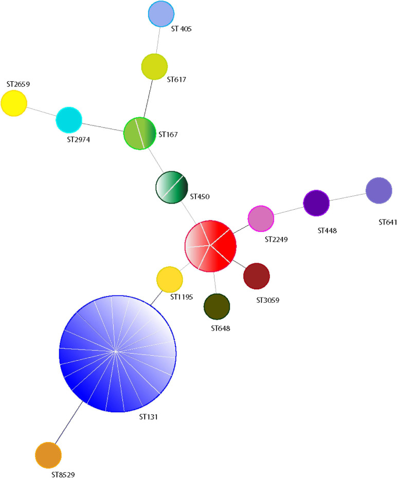 FIGURE 4