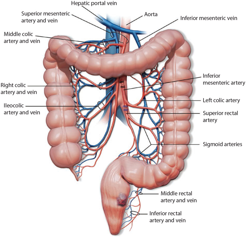 FIGURE 1.