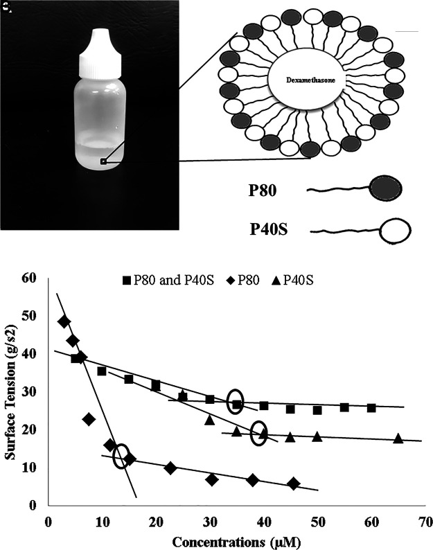 
FIG. 1.
