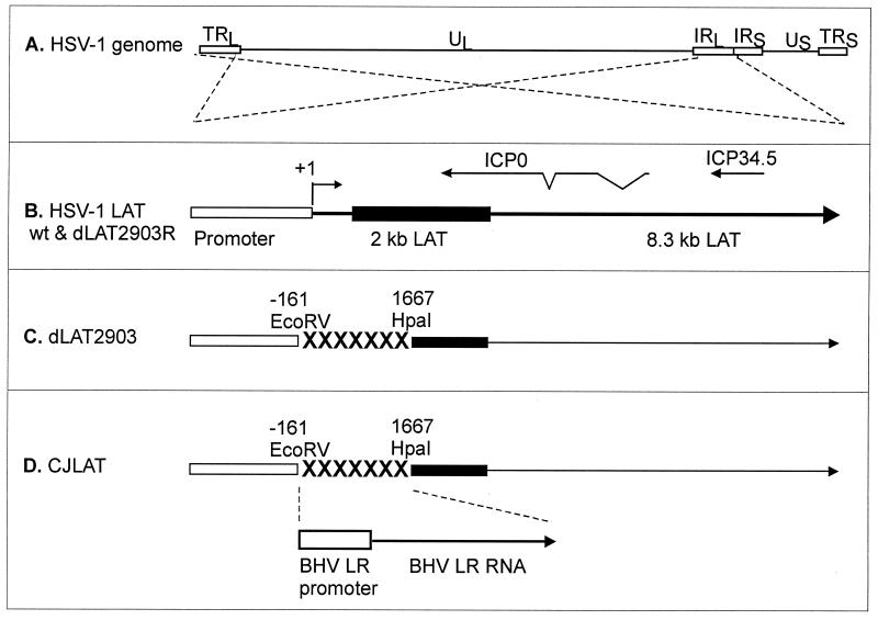 FIG. 1.