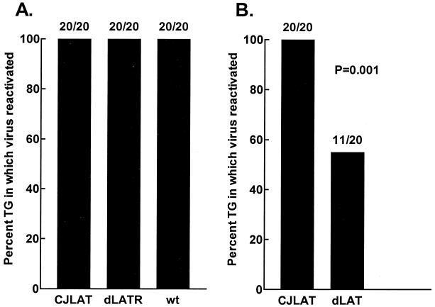 FIG. 9.