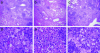 Fig. 4.