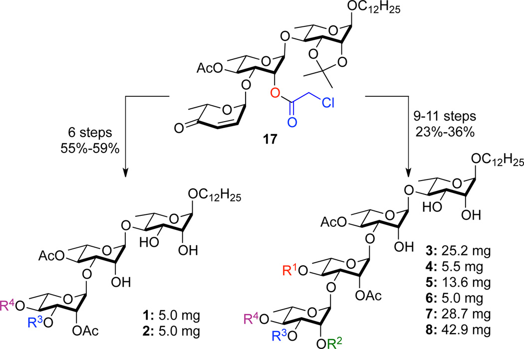 Scheme 3