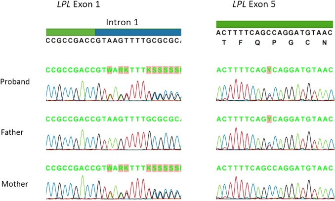 Figure 2