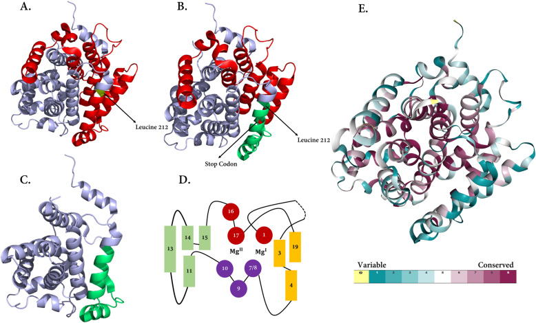 Fig. 4