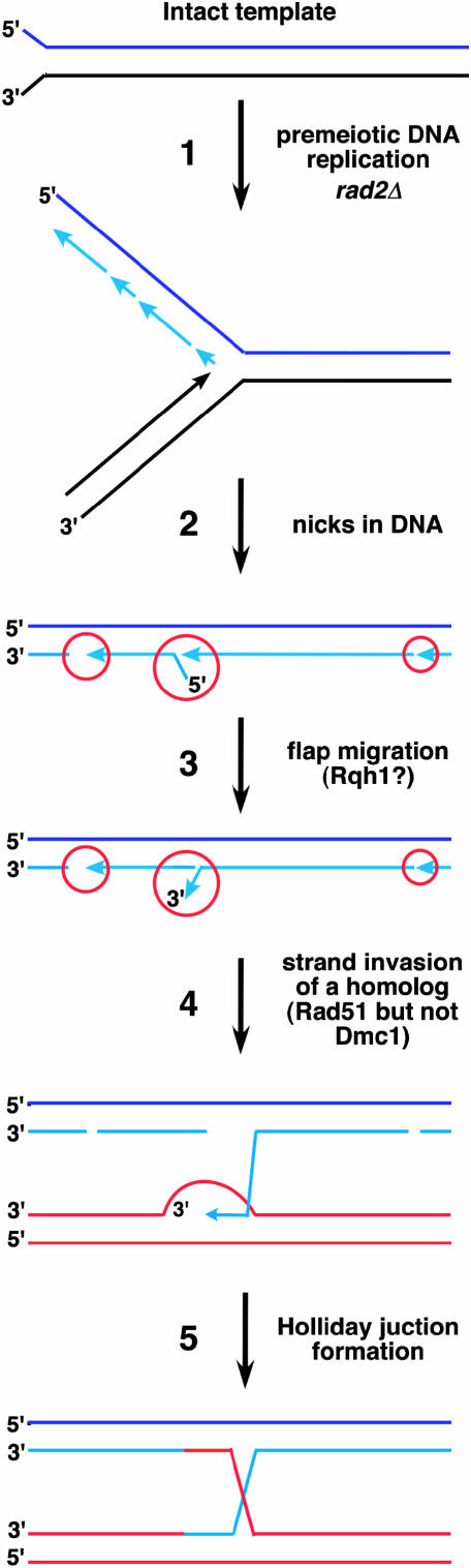 Figure 5.