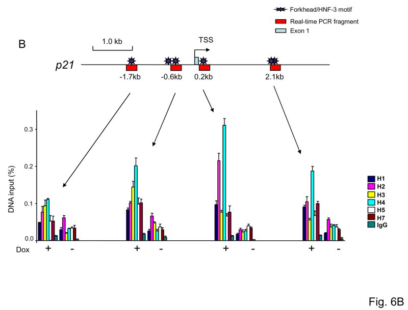 Fig. 6