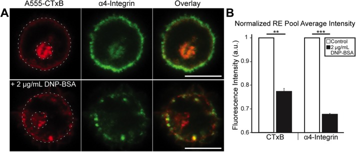 FIGURE 6: