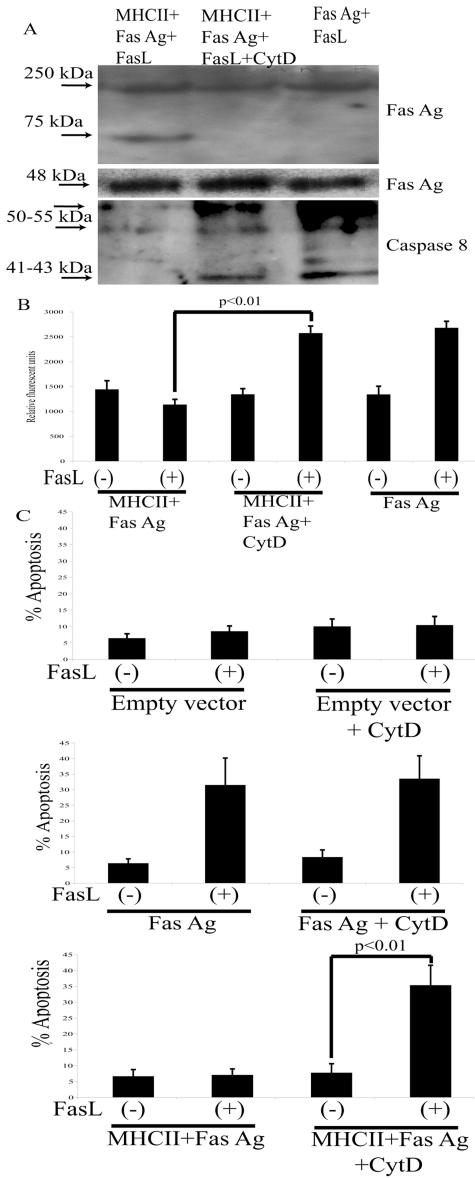 FIG. 8.