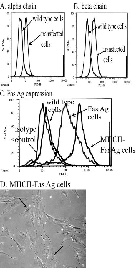 FIG. 5.