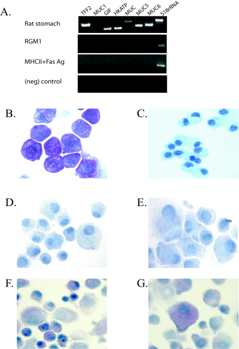 FIG. 1.