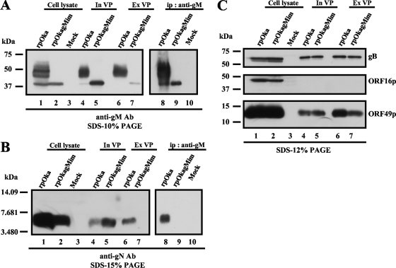 FIG. 9.