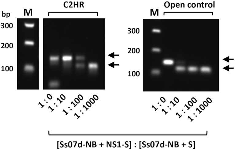 Figure 5.