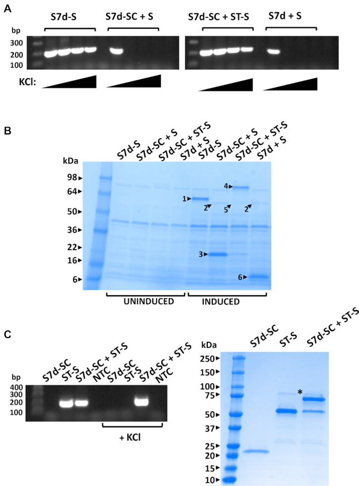 Figure 2.