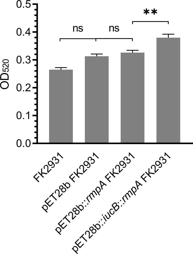 Figure 2