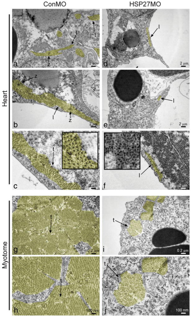 FIG. 8