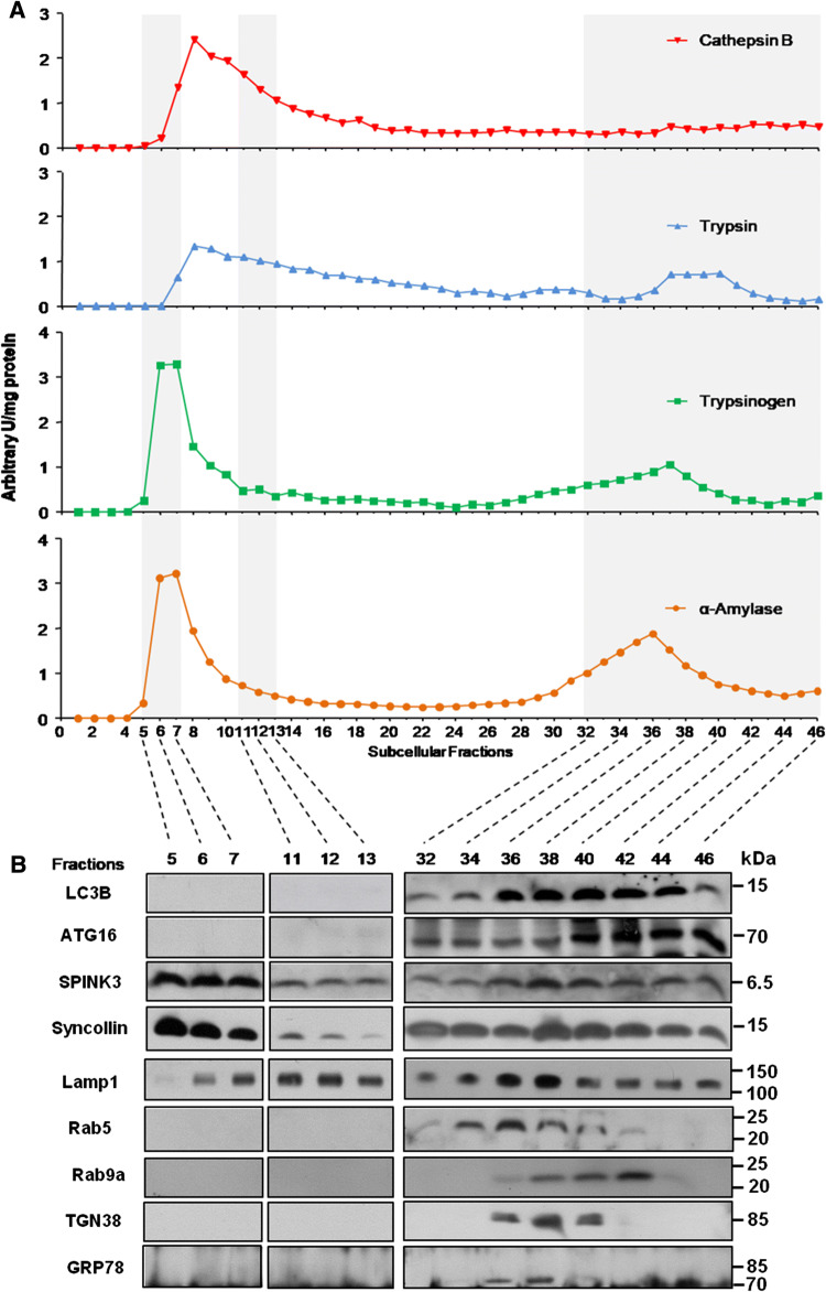 Fig. 4