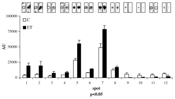 Fig. 3