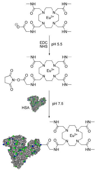 Scheme 4