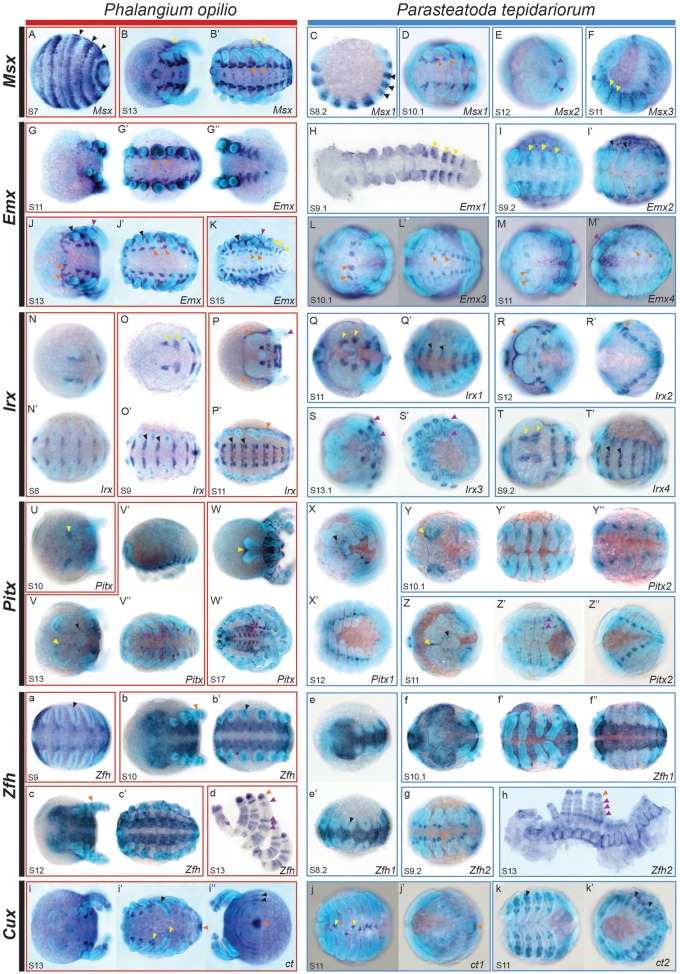 Fig. 4.