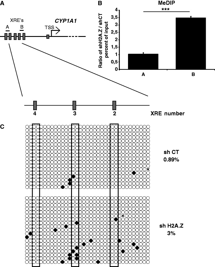 Figure 7.