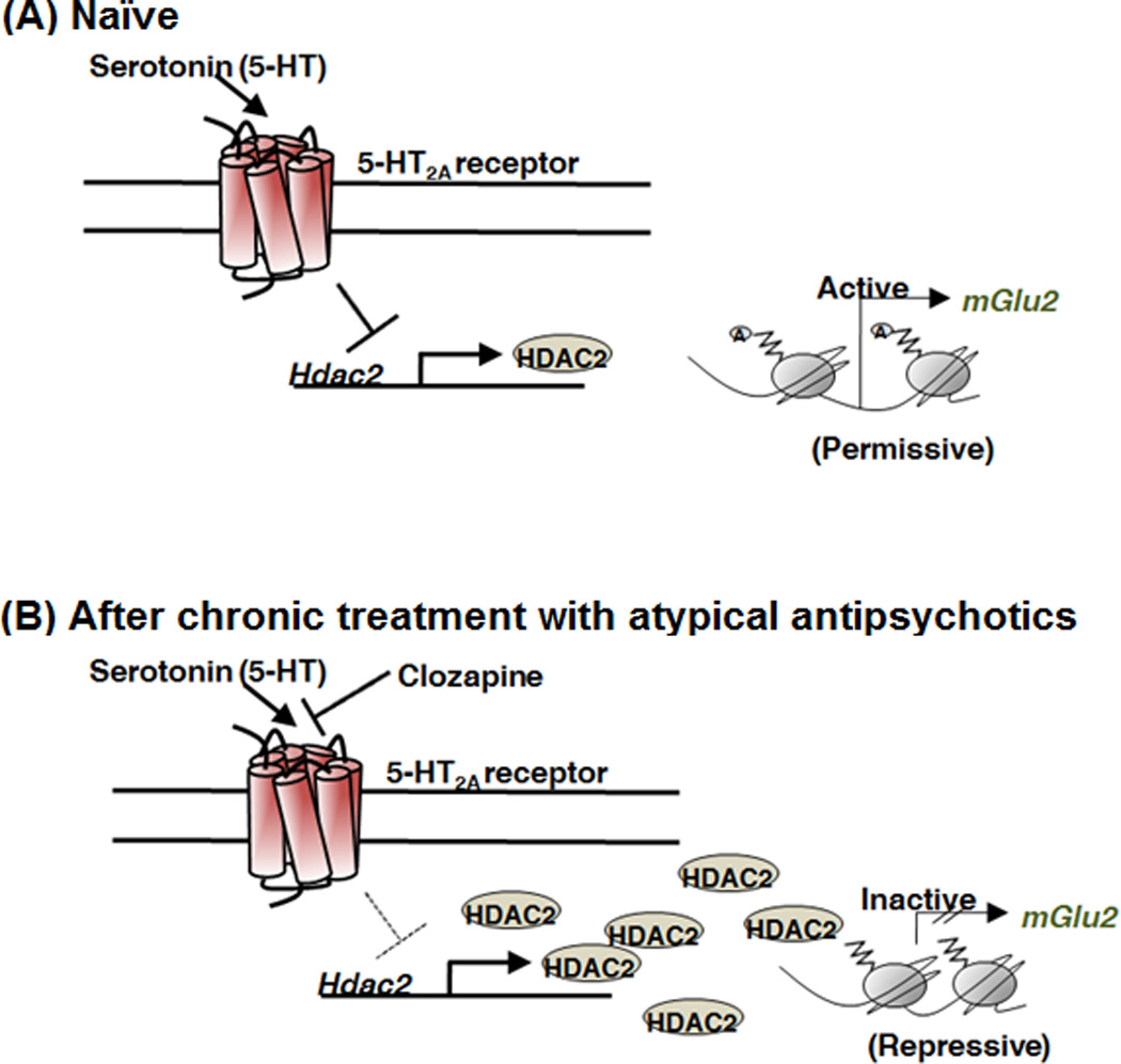 Box 1. Can epigenetics explain discrepant clinical data?