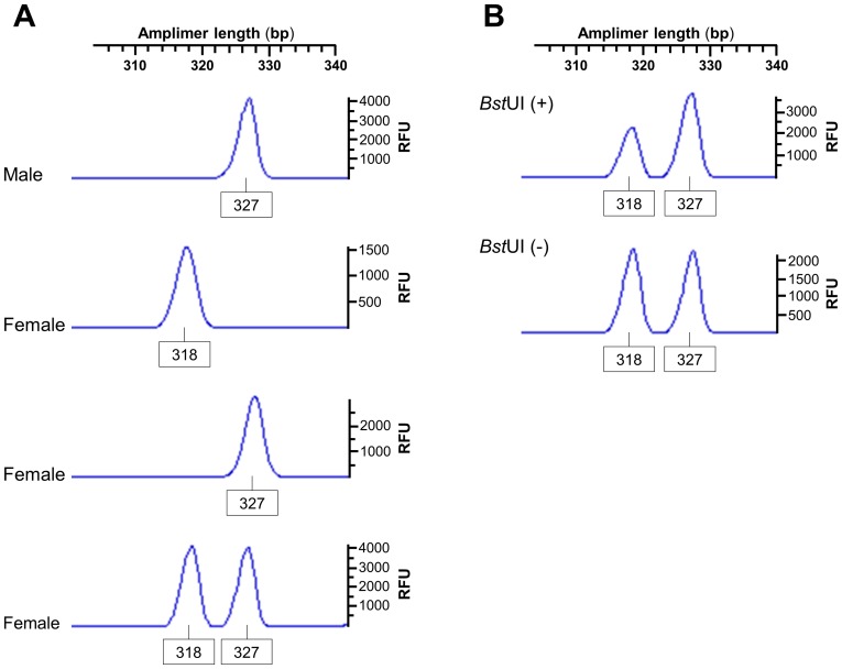 Figure 9