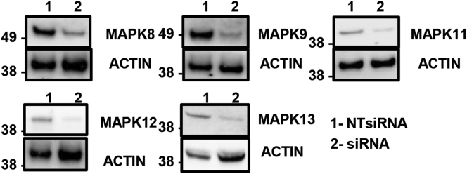 Figure 12