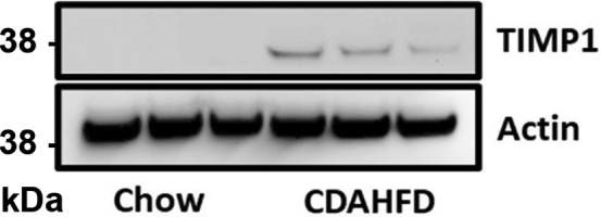 Figure 4