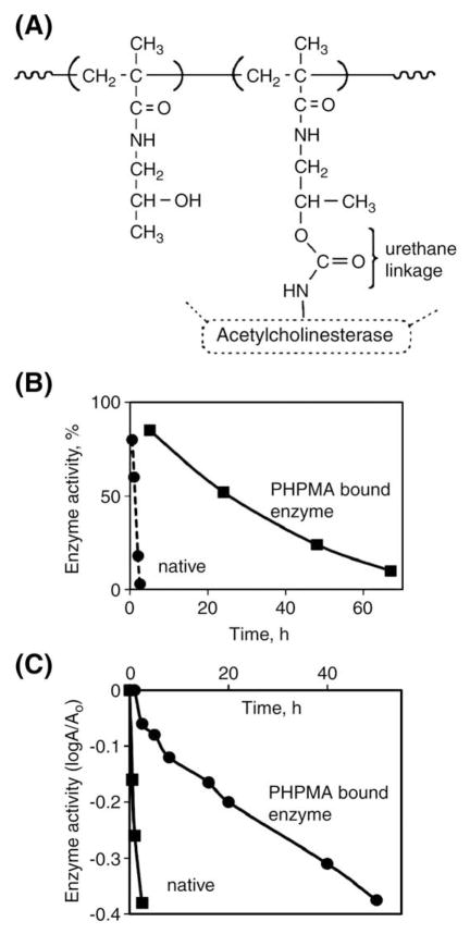 Fig. 23