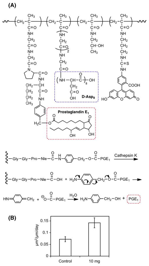 Fig. 17