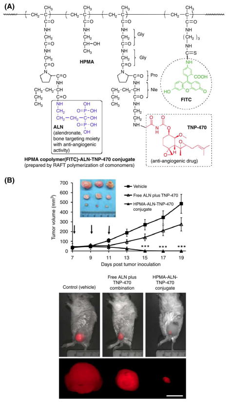 Fig. 10