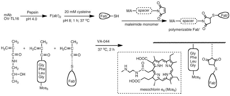 Fig. 20