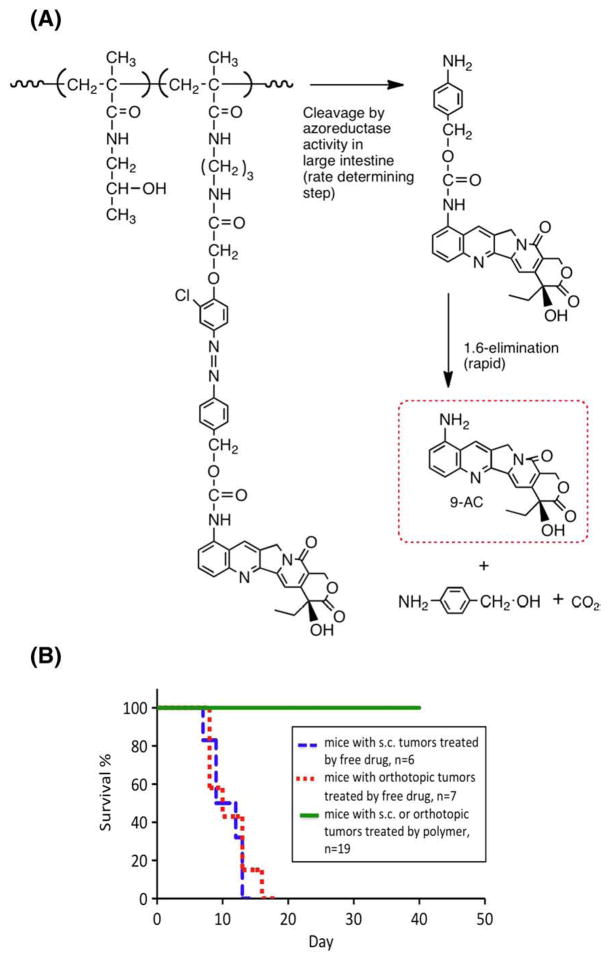 Fig. 12