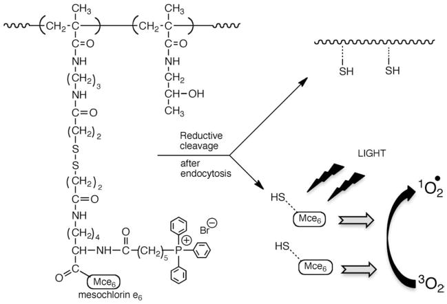 Fig. 19