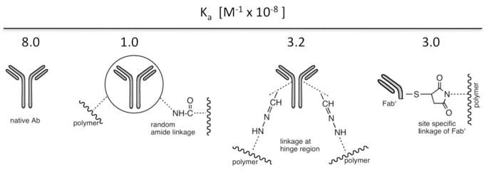 Fig. 21