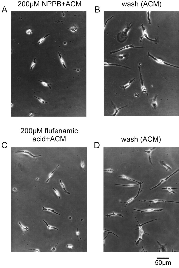 Fig. 10.