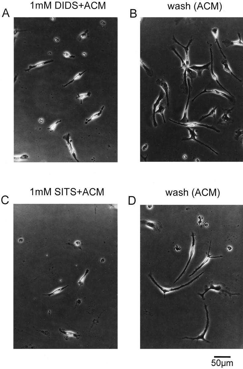 Fig. 9.