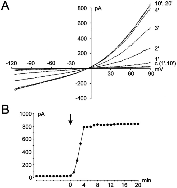 Fig. 3.